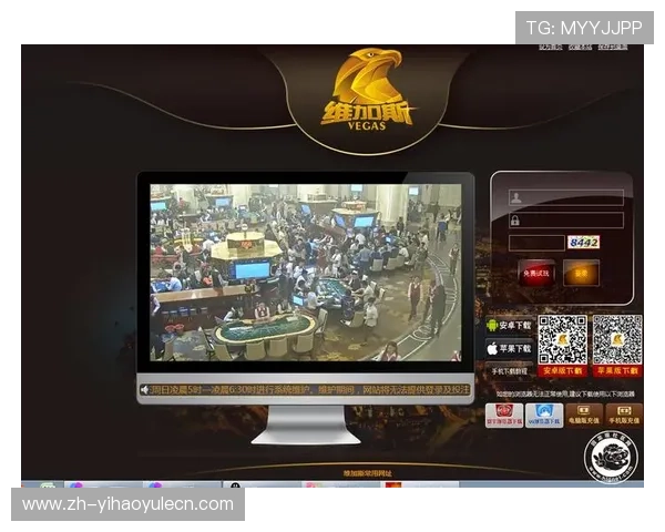 壹号网苑：打造高品质网络社区的创新平台与发展策略